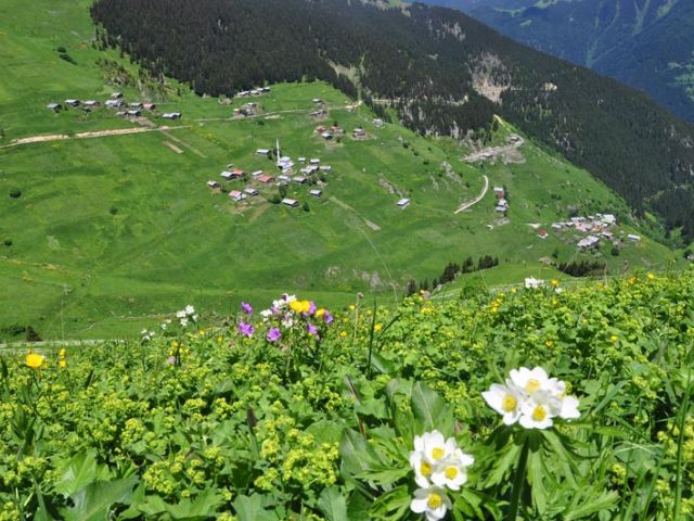 Uçaklı Karadeniz Yaylaları ve Batum Turu (3 Gece Otel Konaklamalı)