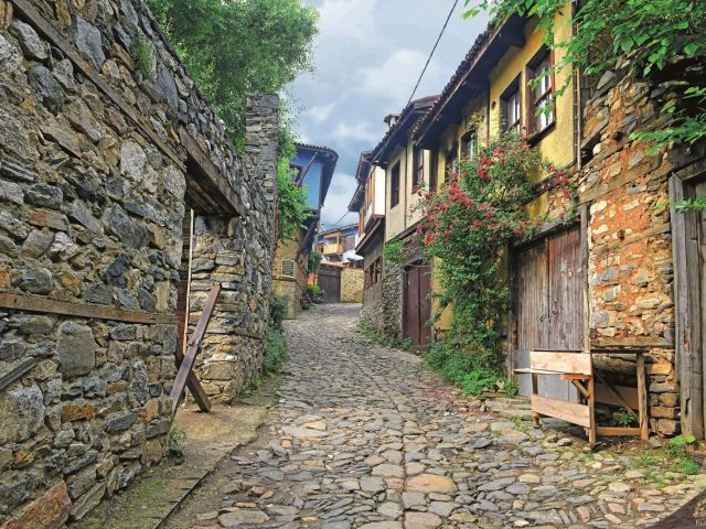 Günübirlik Bursa Cumalıkızık Gölyazı Mudanya Trilye Turu