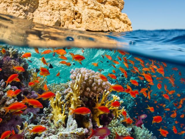 İstanbul Hareketli Ajet İle Kızıldeniz Rüyası; Prestij Sharm El Sheıkh Turu 4 Gece