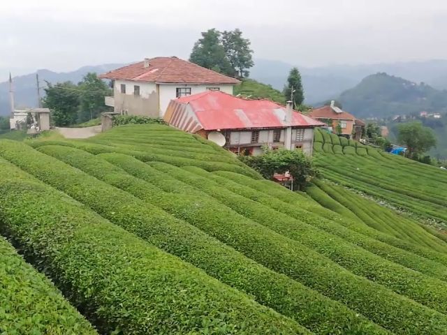 1 Mayıs Özel Karadeniz Fırtınası ve Batum Turu (3 Gece Otel Konaklamalı)