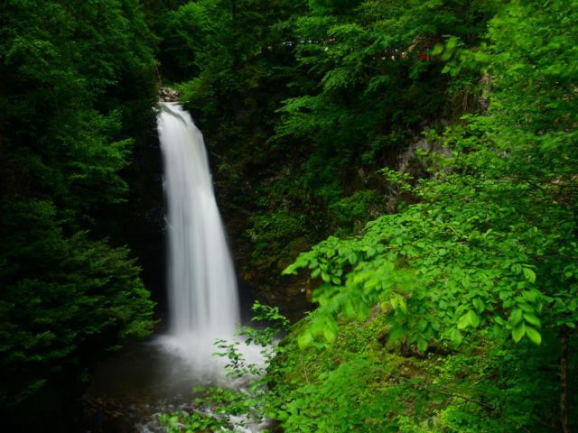 1 Mayıs Özel Karadeniz Fırtınası ve Batum Turu (3 Gece Otel Konaklamalı)