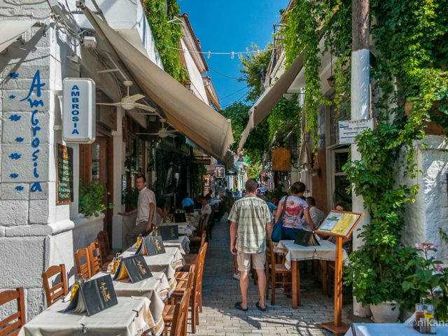 Selanik & Haldiki & Thassos Turu