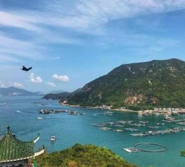 Görkemli Uzaklar Hong Kong & Japonya 29 Ekim Özel (24 Ekim Kalkışlı)