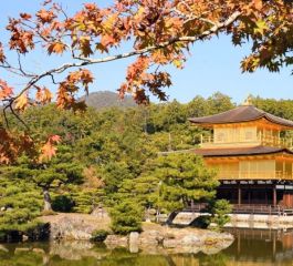 MEGA JAPONYA & HONG KONG TURU TÜRK HAVA YOLLARI İLE 7 GECE Koyo Dönemi ve Kasım Ara Tatil Özel7 Gece Konaklama