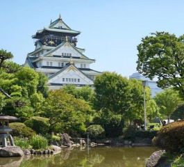 Grand Japonya Kore Turu NRT-ICN THY