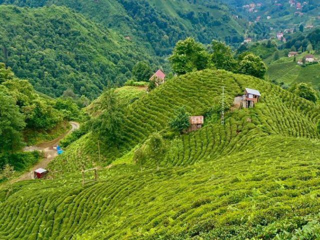 Ramazan Bayramı Özel Uçaklı Karadeniz Yaylaları ve Batum Turu (3 Gece Otel Konaklamalı)
